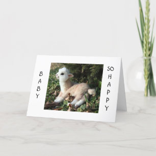 BABY LLAMA SÄGER LYCKLIG FÖR DIG OCH NYFÖDD BEBIS MEDDELANDE