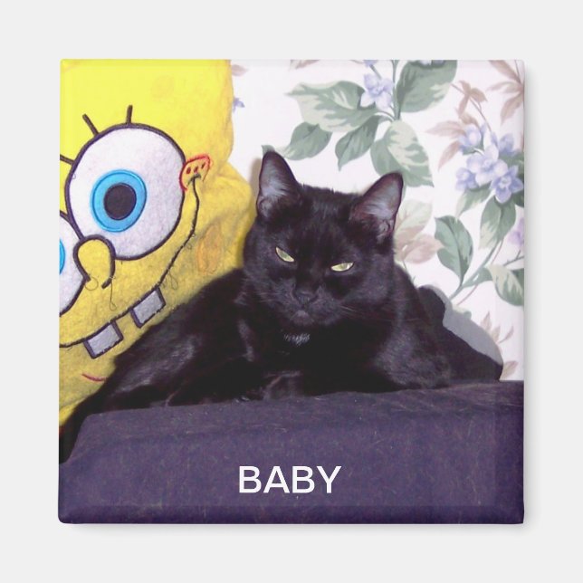 BABY MAGNET (Framsidan)