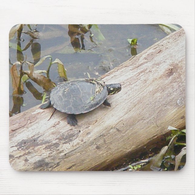 Baby målad sköldpadda Mousepad Musmatta (Framsidan)