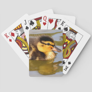 Baby Mallard Anka Swimming Casinokort
