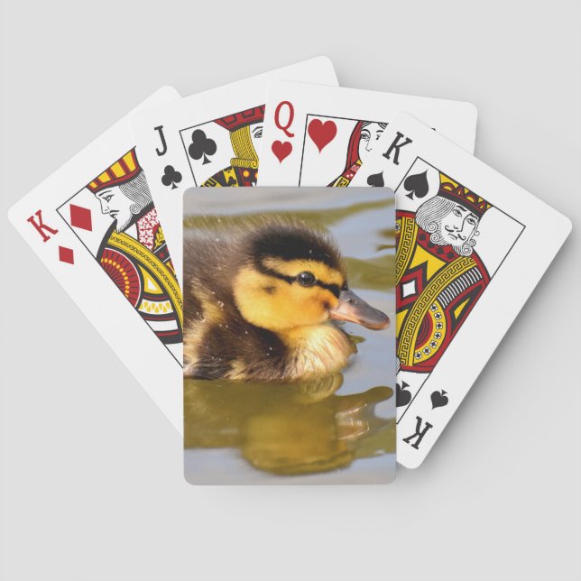 Baby Mallard Anka Swimming Casinokort (Baksidan)