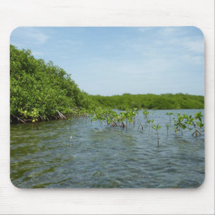 Baby Mangrove Träd i Karibien Musmatta