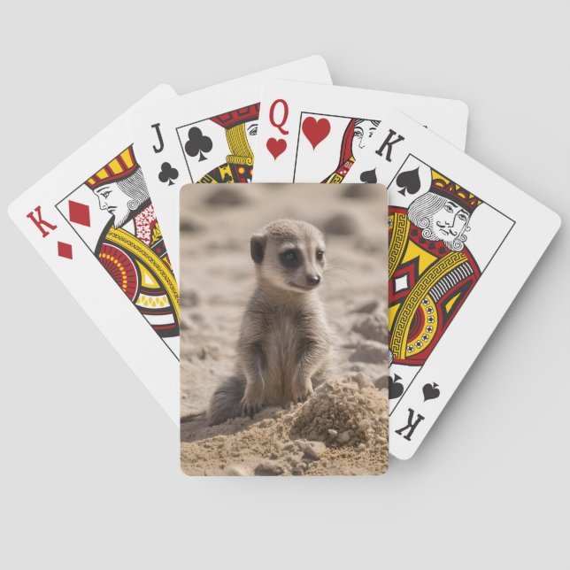 Baby Meerkat spelar i Sand. Casinokort (Baksidan)