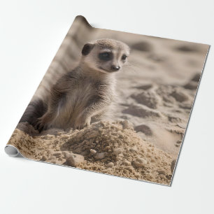 Baby Meerkat spelar i Sand. Presentpapper