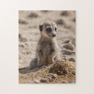 Baby Meerkat spelar i Sand. Pussel