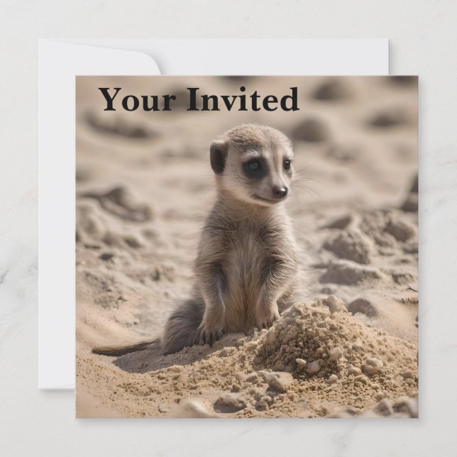 Baby Meerkat spelar i sanden. Inbjudningar (Framsida)
