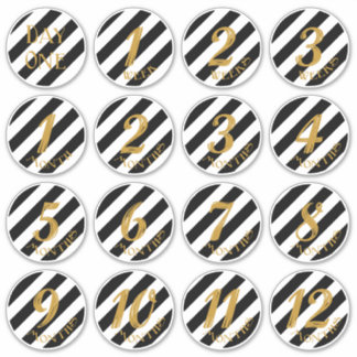 Baby Milestone Stickers Klistermärken