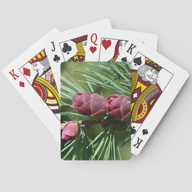 Baby Miniature Gräs Cones Nature Casinokort (Baksidan)