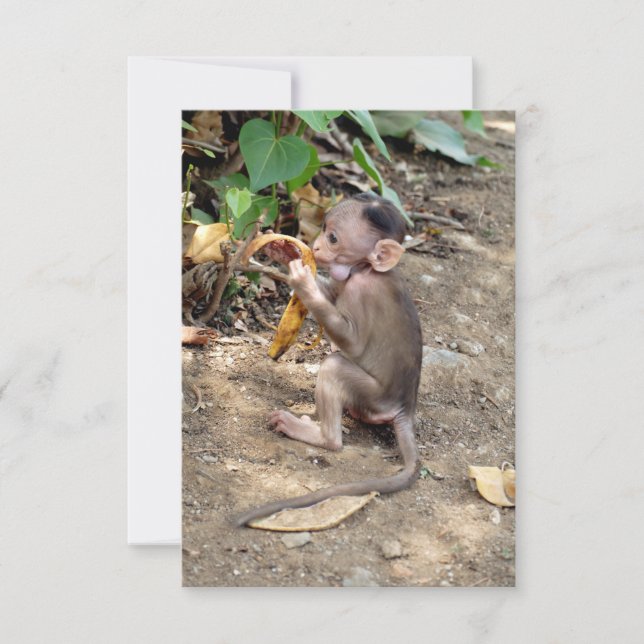 Baby Monkey (Framsida)