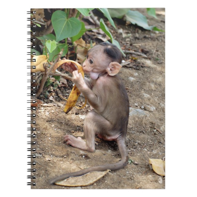 Baby Monkey Anteckningsbok (Framsidan)