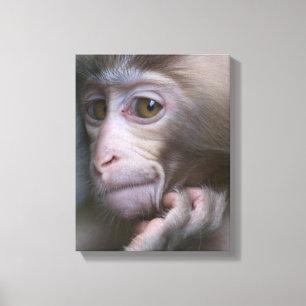 Baby Monkey Canvastryck
