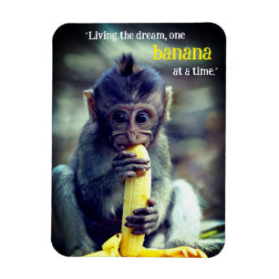 Baby Monkey Eating Banana Magnet
