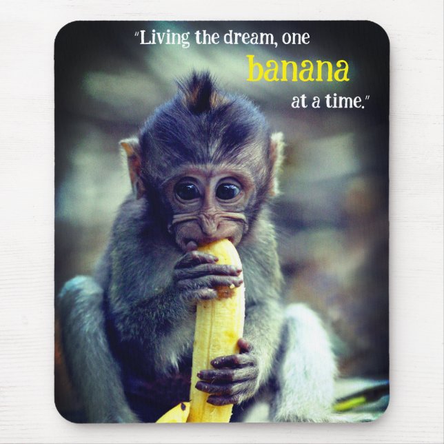 Baby Monkey Eating Banana Musmatta (Framsidan)