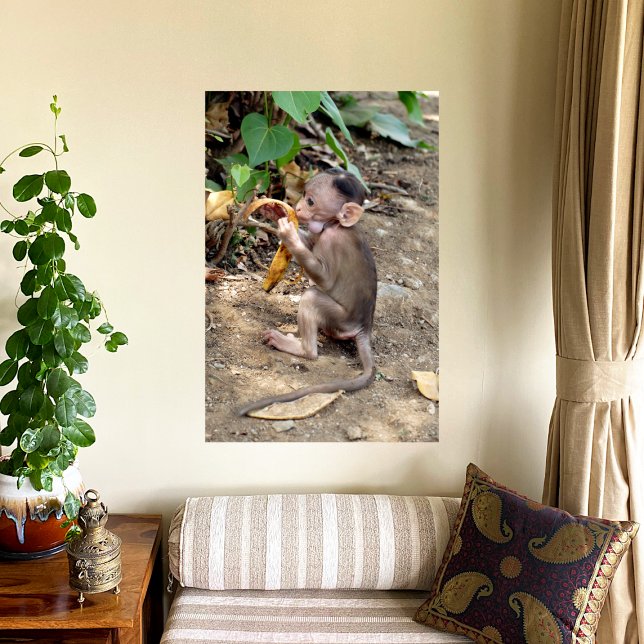 Baby Monkey Fototryck (Skapare uppladdad)
