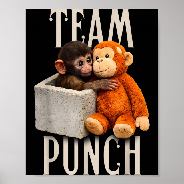 Baby monkey punch team punch  poster (Framsidan)