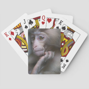 Baby Monkey Spelkort