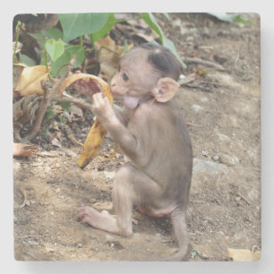 Baby Monkey Stenunderlägg