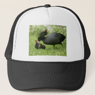 Baby Moorhens Truckerkeps