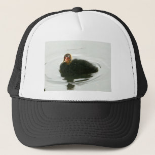 Baby Moorhens Truckerkeps