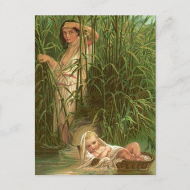 Baby Moses och Nilen Vykort (Framsida)