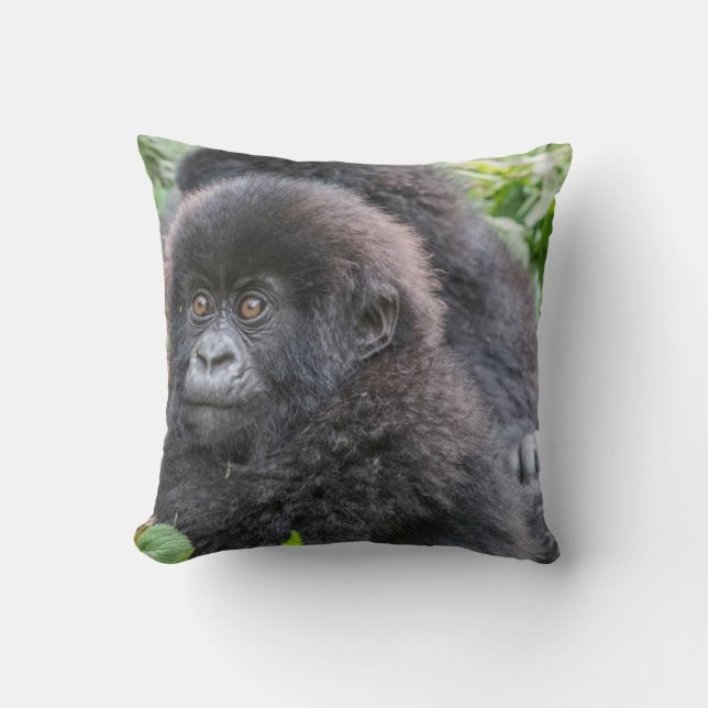Baby Mountain Gorilla Kudde (Framsida)