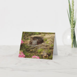 baby-muskort tack kort