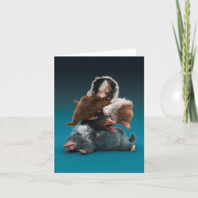 Baby NIFFLER™-pil Kort (Framsida)