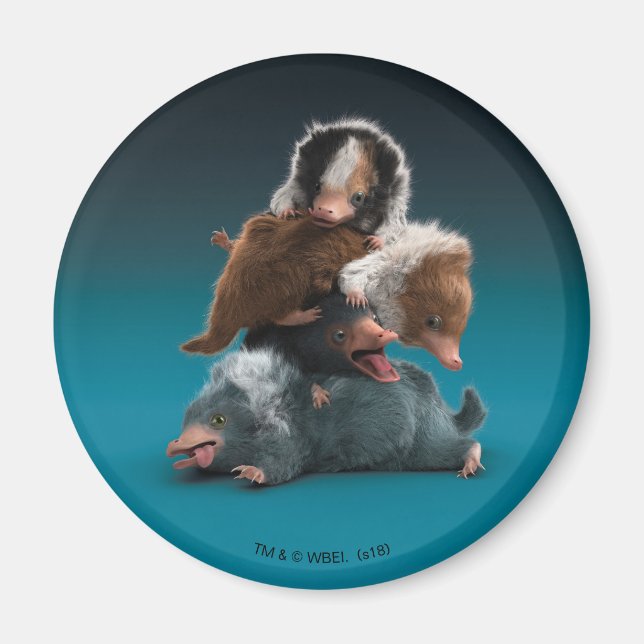 Baby NIFFLER™-pil Magnet (Framsidan)