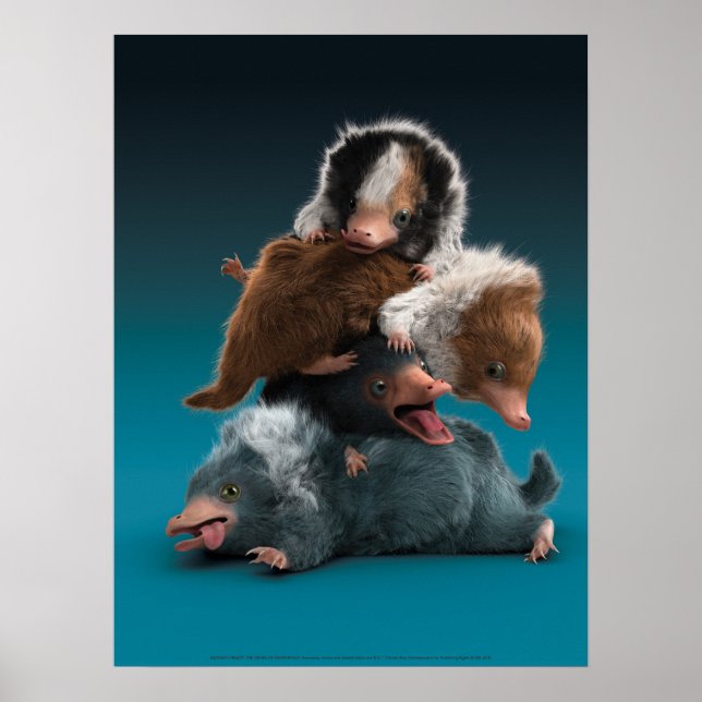 Baby NIFFLER™-pil Poster (Framsidan)
