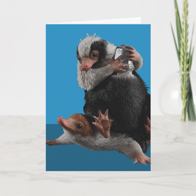Baby Nifflers Find A Prize Kort (Framsida)