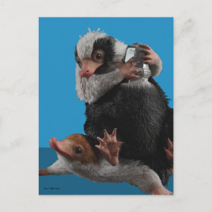 Baby Nifflers hittar ett pris Vykort