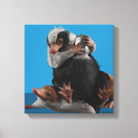 Baby Nifflers - pris