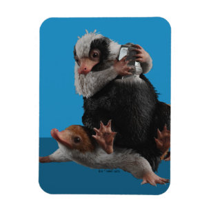 Baby Nifflers - pris Magnet
