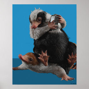 Baby Nifflers - pris Poster