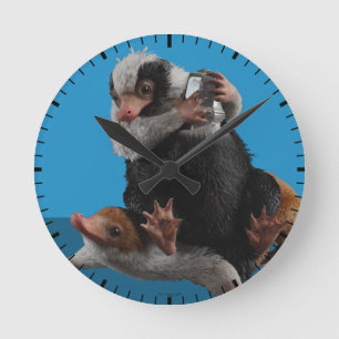 Baby Nifflers - pris Rund Klocka