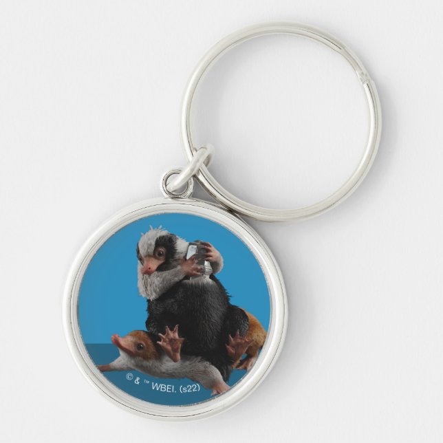 Baby Nifflers - pris Rund Silverfärgad Nyckelring (Framsidan)