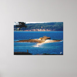 Baby ö på Whidbey Island #1 Canvastryck