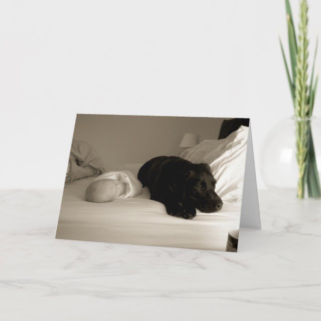 Baby och hund kort (Framsida)
