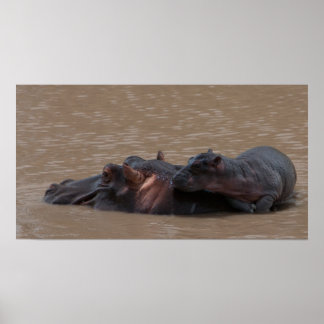 Baby ombord poster