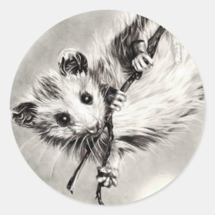 Baby Opossum Stickers Runt Klistermärke