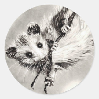 Baby Opossum Stickers Runt Klistermärke