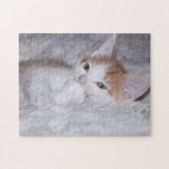 Baby orange och vit tablett kattunge pussel (Horisontell)