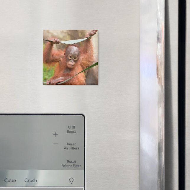 Baby Orangutan Anslutning Magnet (In Situ (Fridge))