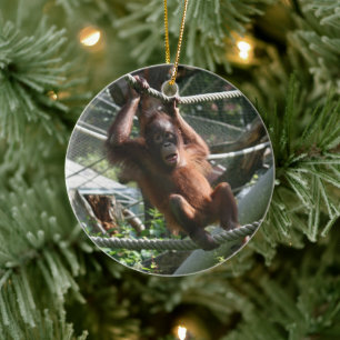 Baby Orangutan - Häng där Julgransprydnad Keramik