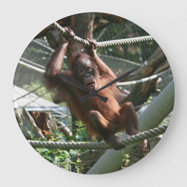 Baby Orangutan - Häng där Stor Klocka (Framsida)