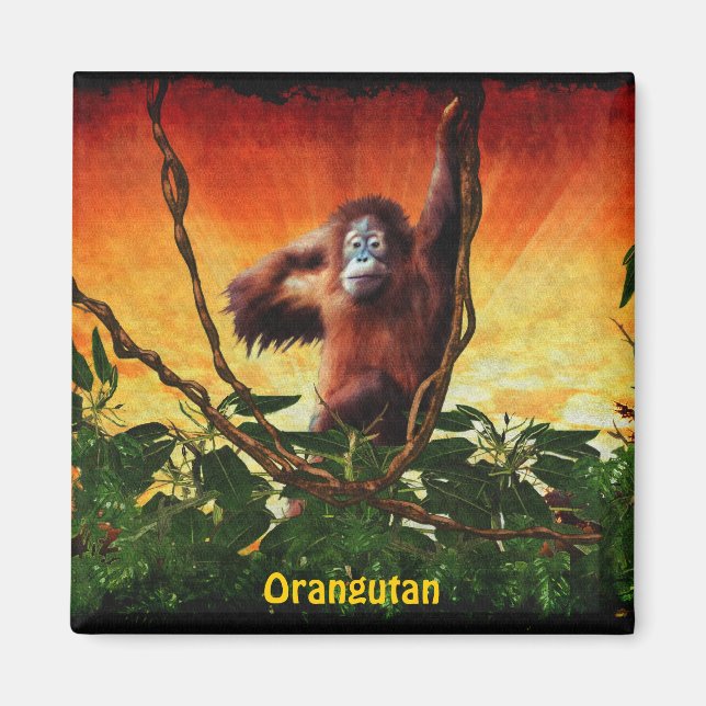 Baby Orangutan & Jungle Wildlife Art Magnet (Framsidan)