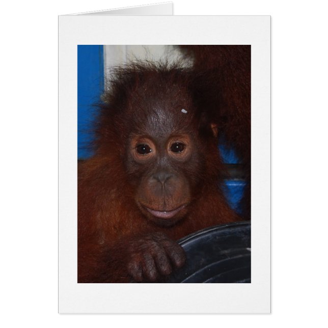 Baby Orangutan, son till Akmad Hälsningskort (Framsidan)
