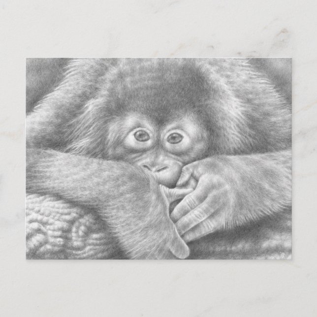 Baby Orangutan-vykort Vykort (Framsida)