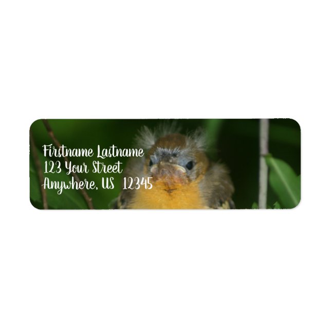 Baby Oriole Fledgling Bird Adress Returadress Etikett (Framsidan)