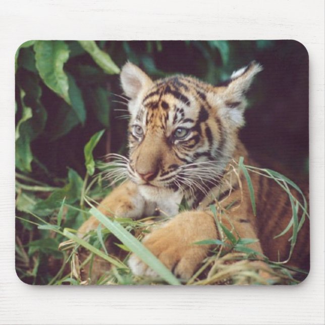 Baby Oselote Mousepad Musmatta (Framsidan)